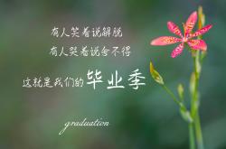 开云体育-冰雪奇缘与热带风暴，2026世界杯，芬兰vs印度，佩德里导演惊天逆转，门神铸就历史
