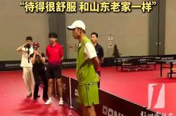 开云体育app-瑞典乒乓球队力克比利时乒乓球队，张继科送出助攻