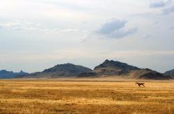 开云体育入口-冰与火之歌，马琳的冷静与泰国队的翻盘奇迹