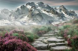 开云体育APP下载-新王与旧主，克莱冠军级火力全开，步行者连续得分压制广厦