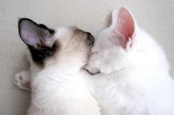 开云体育平台APP-跨界风暴，掘金爆冷负山西，拉文F1街道赛上演极限接管