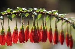 开云体育登录-黄潜艇掀起地中海风暴，罗德里戈的攻防统治术