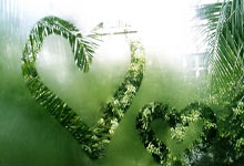 开云体育app-温网硬核轻取蒙特卡洛？兹维列夫的草地热望与红土硬度哲学