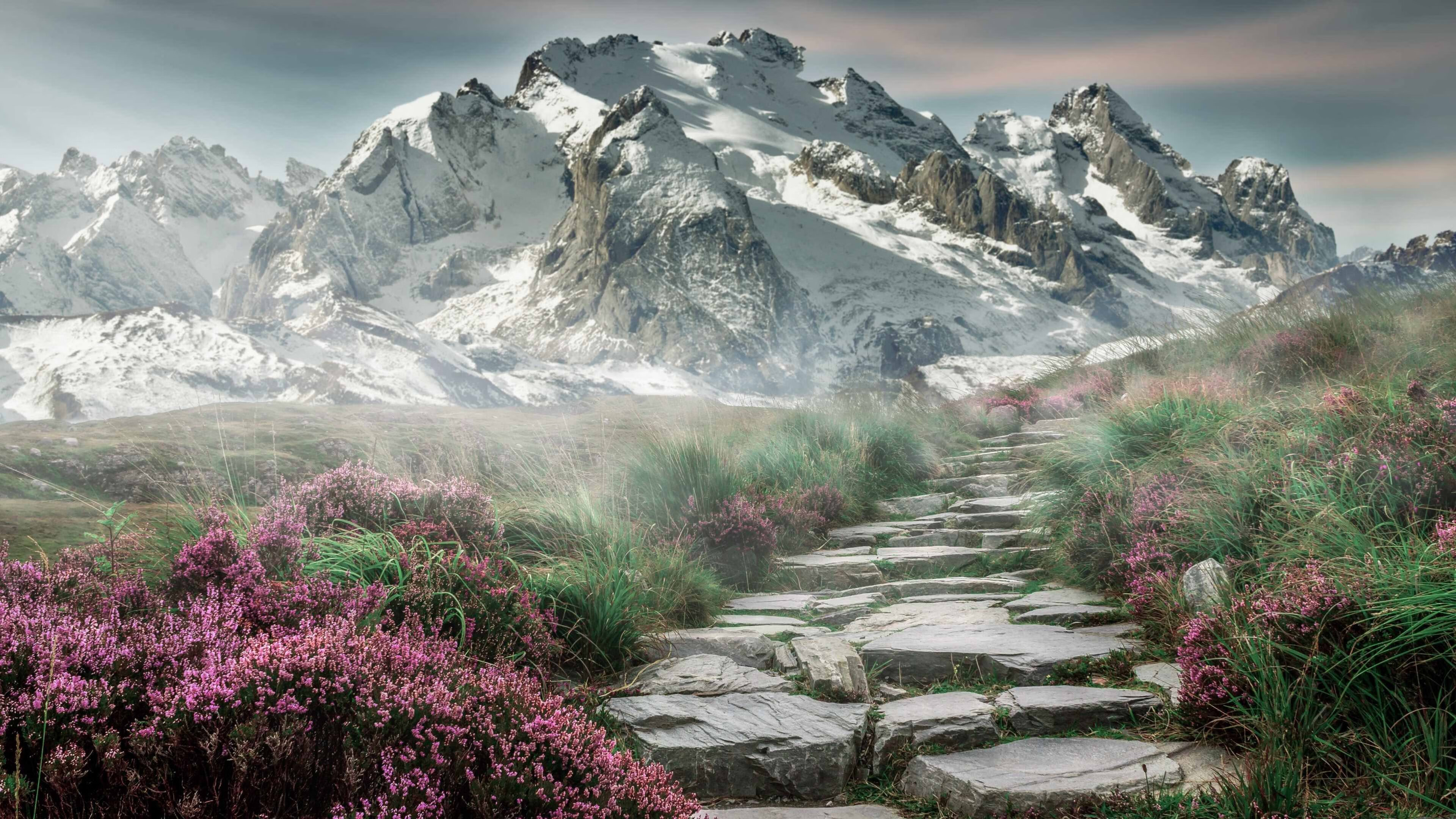 新王与旧主，克莱冠军级火力全开，步行者连续得分压制广厦