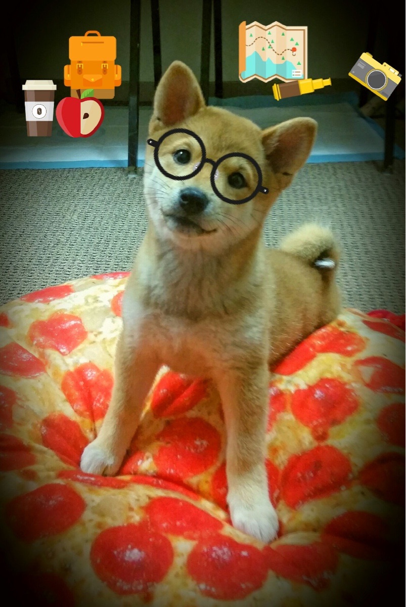 蜂鹰大战沦为背景板,库里把球场变成个人剧院