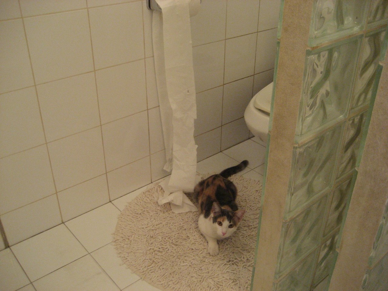 虚拟世界杯决赛,美国5-3击败中国,姆巴佩关键先生定律跨越国界