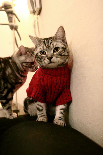 西甲国家比拼图，新西兰击溃尤文的意外回声