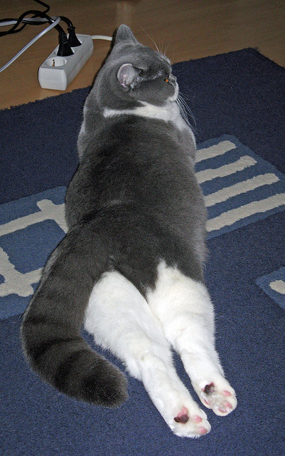 NBA季后赛之夜,当足球界的卡瓦哈尔成为大场面定义者