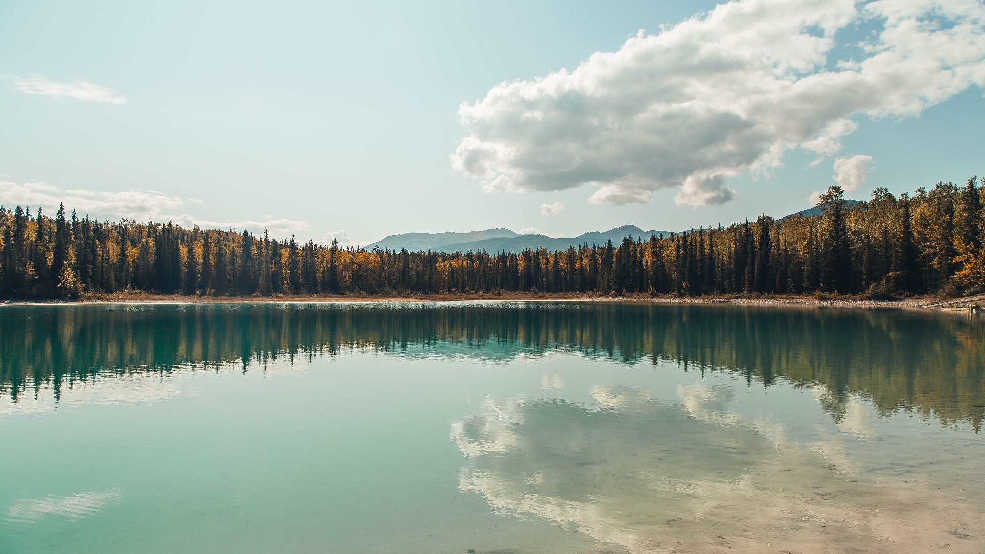 唯一性不必远求，当卡马文加用一脚传球，让欧冠决赛提前落幕